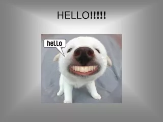 HELLO !!!!!