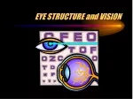 Understanding the Eye: Structure, Function, and Common Conditions - slide 1