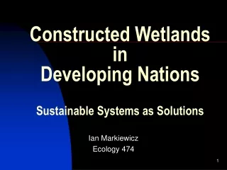 Constructed Wetlands in Developing Nations Sustainable Systems as Solutions