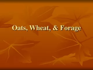 Oats, Wheat, &amp; Forage