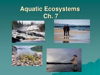 Aquatic Ecosystems  Ch. 7