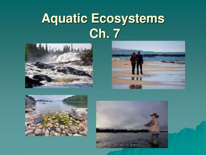 aquatic ecosystems ch 7