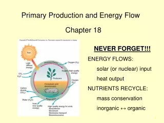 Primary Production and Energy Flow