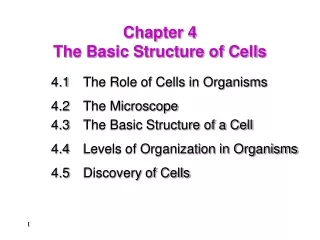 Chapter 4 The Basic Structure of Cells