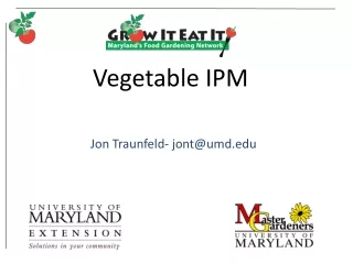 Vegetable IPM