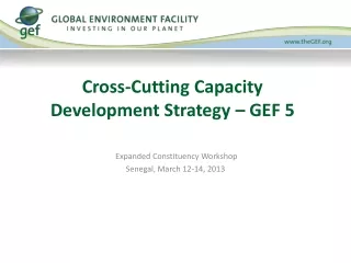 Cross-Cutting Capacity Development Strategy – GEF 5