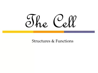 Structures &amp; Functions