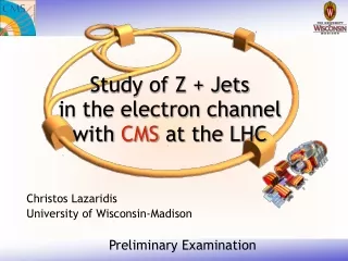 Study of Z + Jets in the electron channel  with  CMS  at the LHC