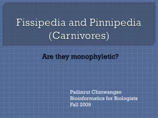 Fissipedia  and  Pinnipedia (Carnivores)