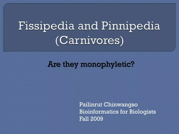 fissipedia and pinnipedia carnivores