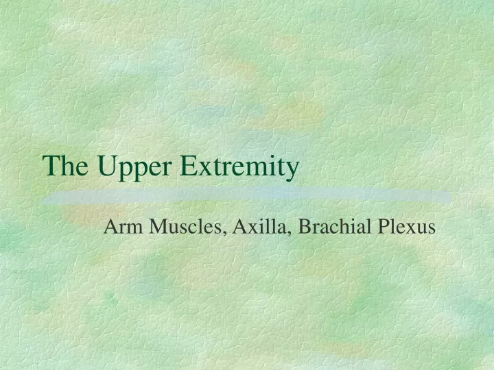 the upper extremity