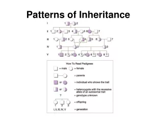 Patterns of Inheritance