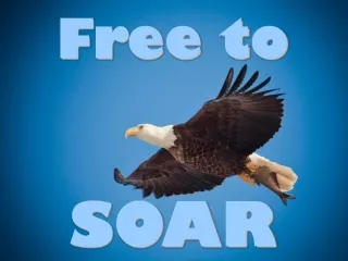 Free to SOAR