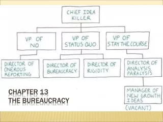 Chapter 13 The Bureaucracy