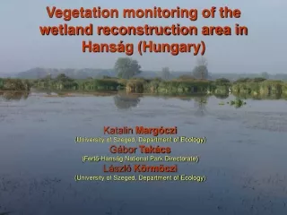 Vegetation monitoring of the wetland reconstruction area in Hanság (Hungary)