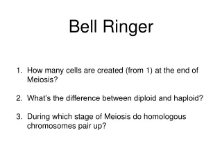 Bell Ringer