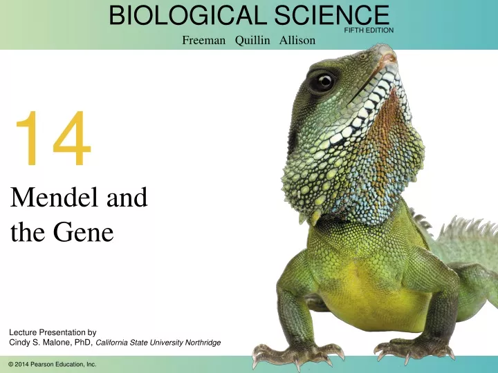 mendel and the gene