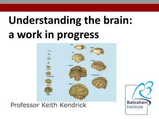 Understanding the brain:  a  work in progress