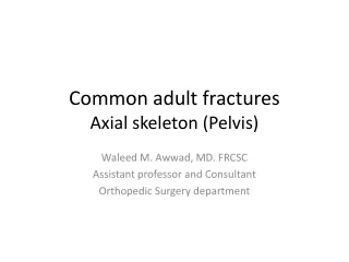 Common adult fractures Axial skeleton (Pelvis)