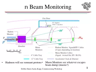 n  Beam Monitoring