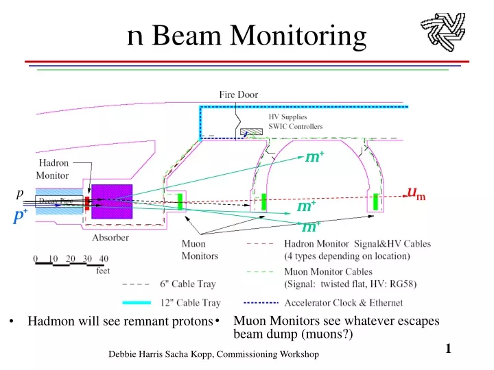 n beam monitoring