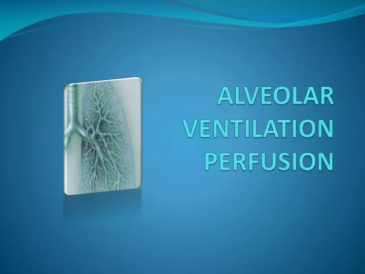 alveolar ventilation perfusion
