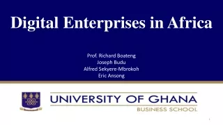 Digital Enterprises in Africa