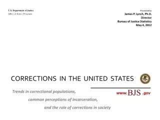 CORRECTIONS  IN  THE  UNITED  STATES