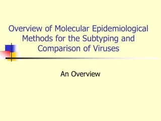 Overview of Molecular Epidemiological Methods for the Subtyping and Comparison of Viruses
