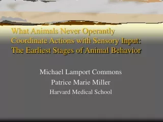 Michael Lamport Commons Patrice Marie Miller Harvard Medical School