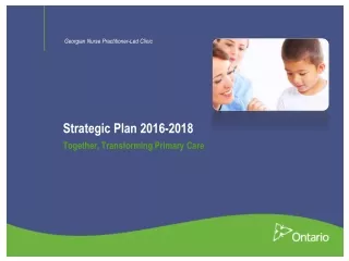 Strategic Plan 2016-2018