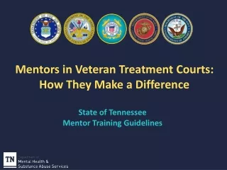 Mentors in Veteran Treatment Courts: How They Make a Difference