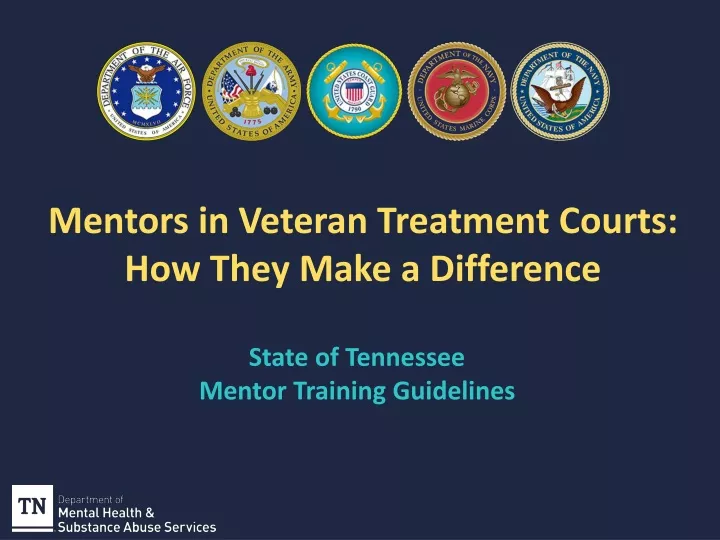 mentors in veteran treatment courts how they make