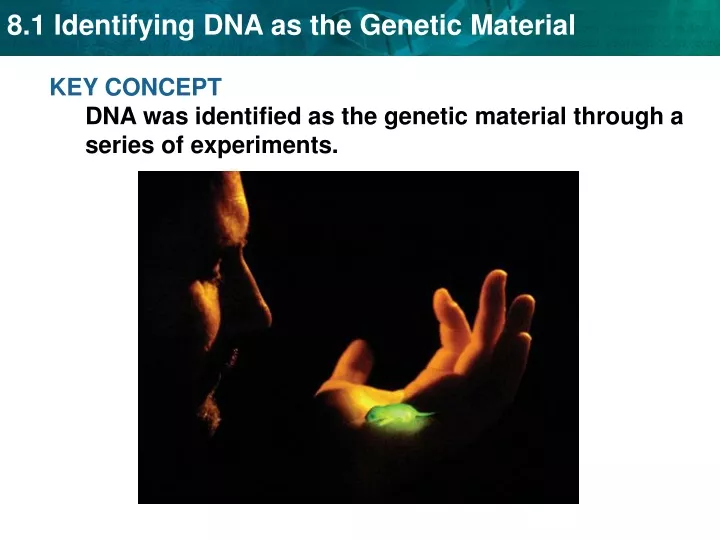 key concept dna was identified as the genetic