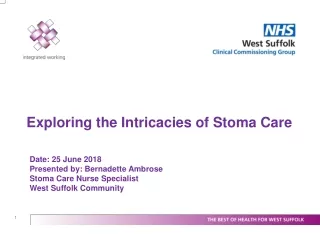 Exploring the Intricacies of Stoma Care