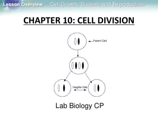CHAPTER 10: CELL DIVISION