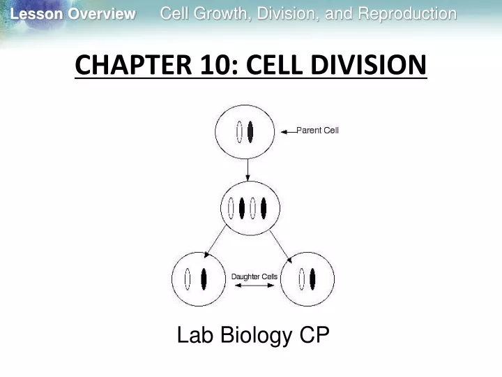 chapter 10 cell division