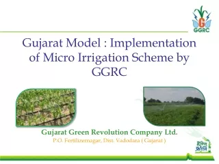 Gujarat Model : Implementation of Micro Irrigation Scheme by GGRC