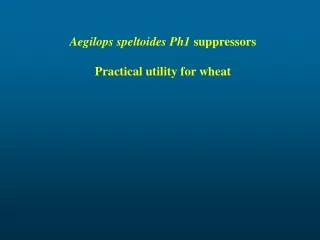 Aegilops speltoides Ph1  suppressors Practical utility for wheat