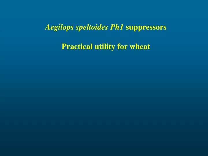 aegilops speltoides ph1 suppressors practical