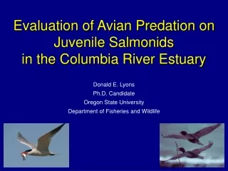Evaluation of Avian Predation on Juvenile Salmonids in the Columbia River Estuary