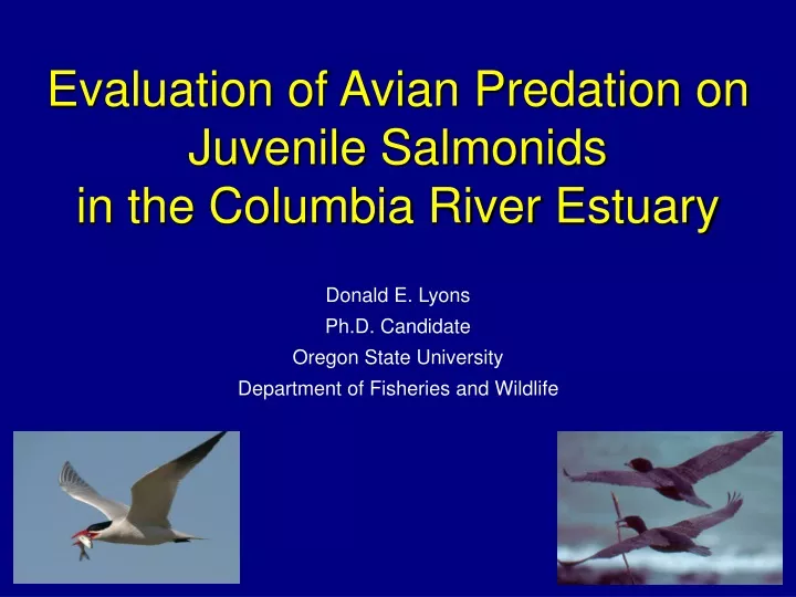 evaluation of avian predation on juvenile salmonids in the columbia river estuary