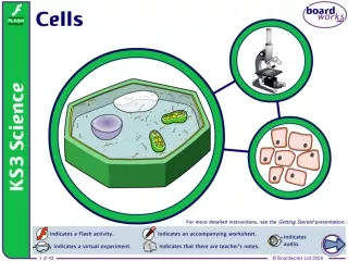 What are living things made of?