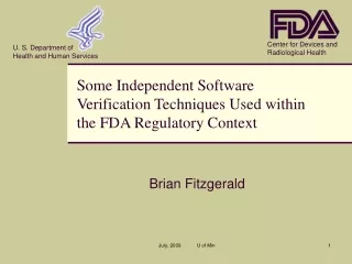 Some Independent Software Verification Techniques Used within the FDA Regulatory Context
