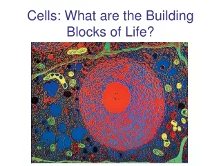 Cells: What are the Building Blocks of Life?
