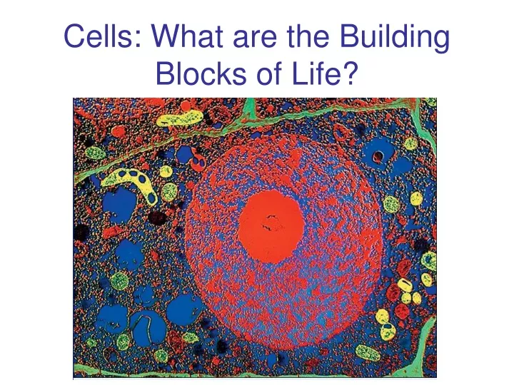cells what are the building blocks of life