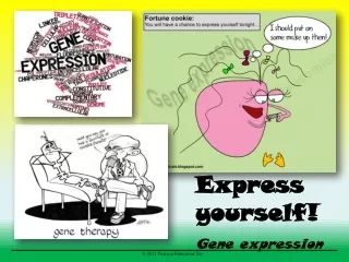 Express yourself! Gene expression