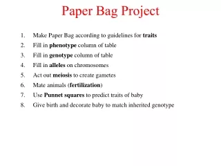 Paper Bag Project