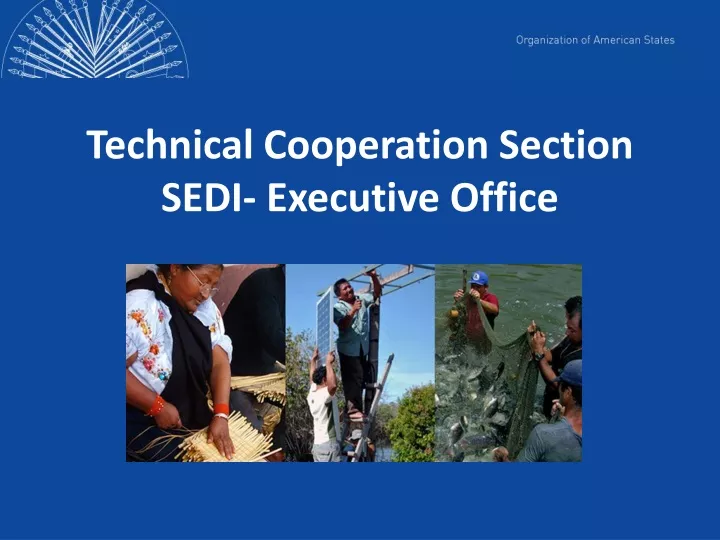 technical cooperation section sedi executive office