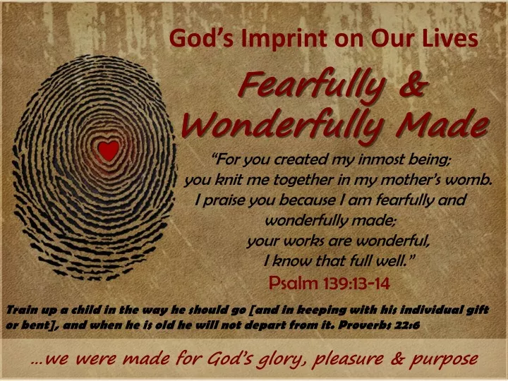 god s imprint on our lives